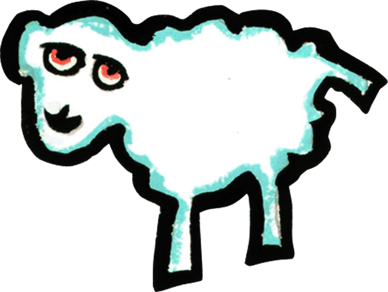 Schaap 2